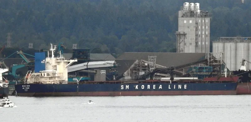 SM TIGER Bulk Carrier IMO 9723887 photo 10