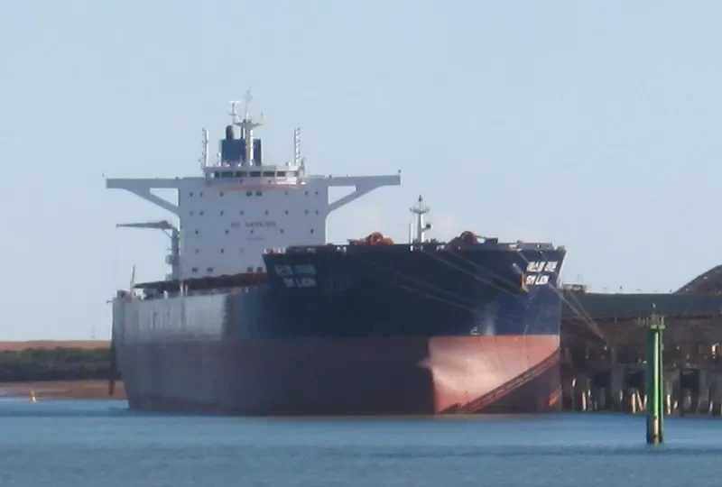 SM LION Bulk Carrier IMO 9723899