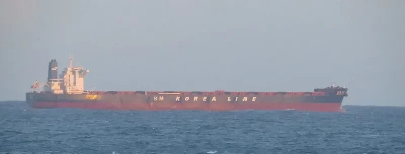 SM DRAGON Bulk Carrier IMO 9723904