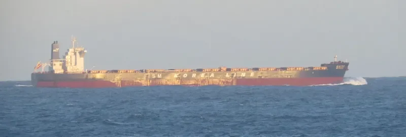 SM DRAGON Bulk Carrier IMO 9723904 photo 2
