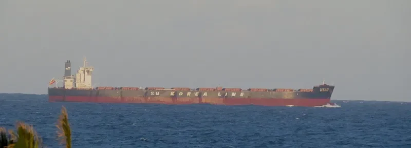 SM DRAGON Bulk Carrier IMO 9723904 photo 3