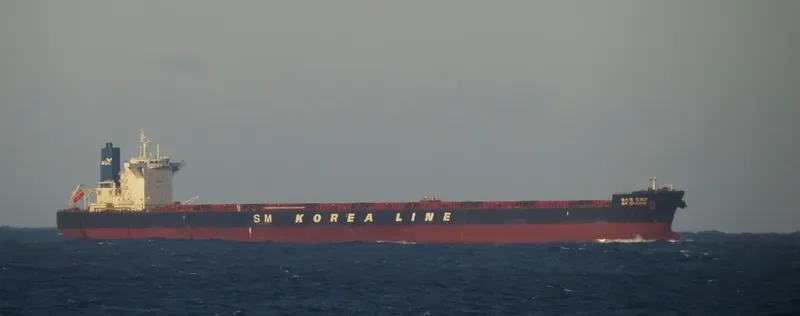 SM DRAGON Bulk Carrier IMO 9723904 photo 4