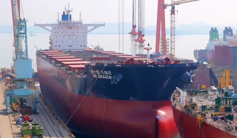 SM DRAGON Bulk Carrier IMO 9723904 photo 5