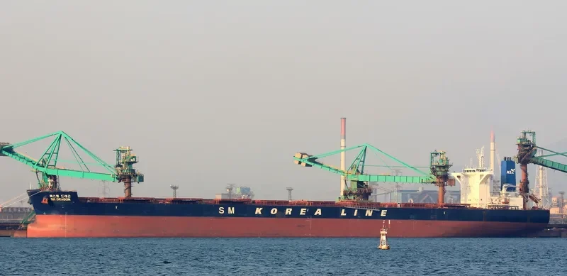 SM DRAGON Bulk Carrier IMO 9723904 photo 6