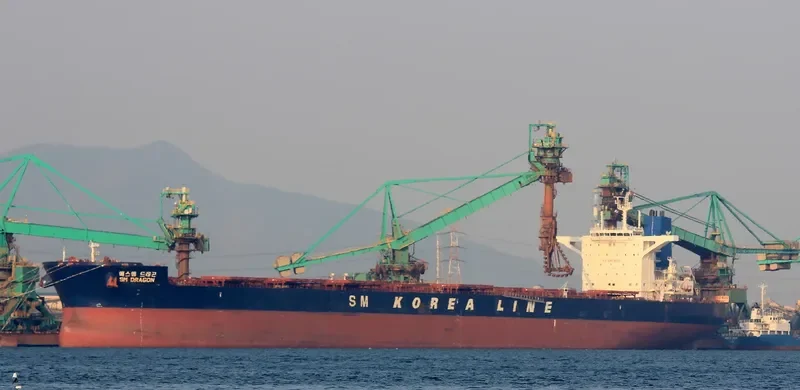 SM DRAGON Bulk Carrier IMO 9723904 photo 7