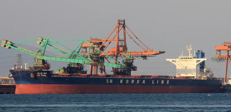 SM PUMA Bulk Carrier IMO 9723916