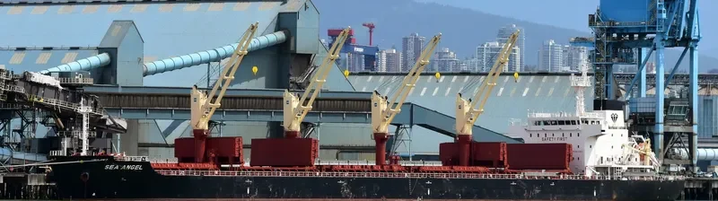 SEA ANGEL Bulk Carrier IMO 9723942 photo 2
