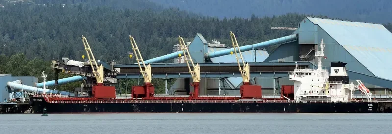 SEA ANGEL Bulk Carrier IMO 9723942 photo 3