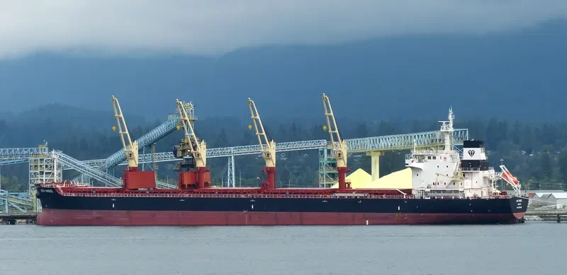 SEA ANGEL Bulk Carrier IMO 9723942 photo 6