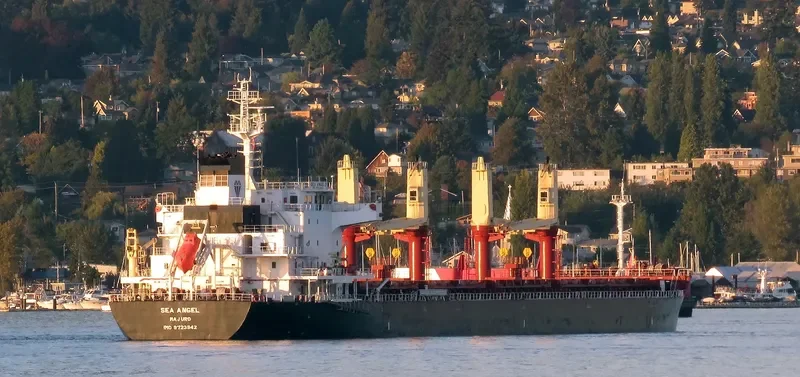 SEA ANGEL Bulk Carrier IMO 9723942 photo 7