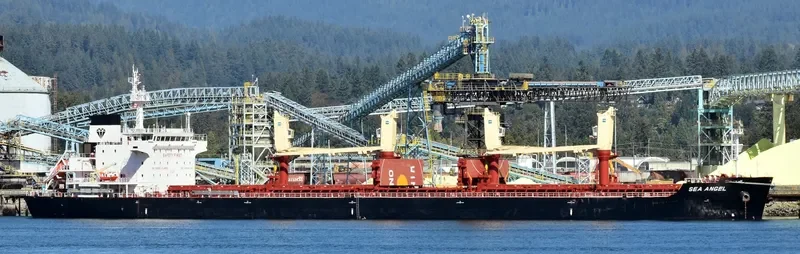 SEA ANGEL Bulk Carrier IMO 9723942 photo 8