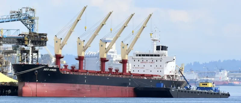 SEA ANGEL Bulk Carrier IMO 9723942 photo 9