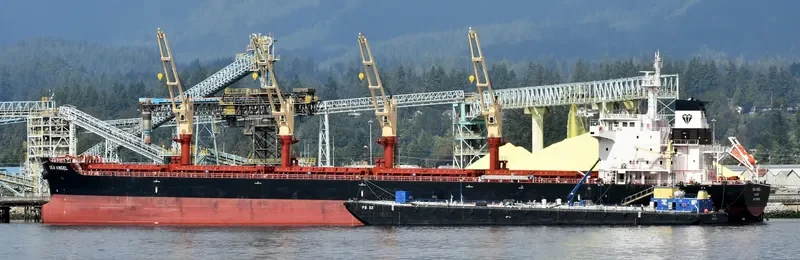 SEA ANGEL Bulk Carrier IMO 9723942 photo 10