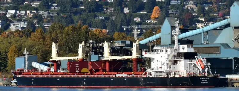 SEA BREEZE Bulk Carrier IMO 9723954 photo 2
