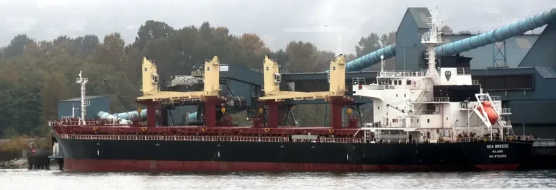 SEA BREEZE Bulk Carrier IMO 9723954 photo 4