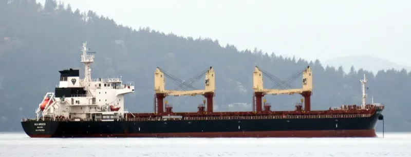 SEA BREEZE Bulk Carrier IMO 9723954 photo 5