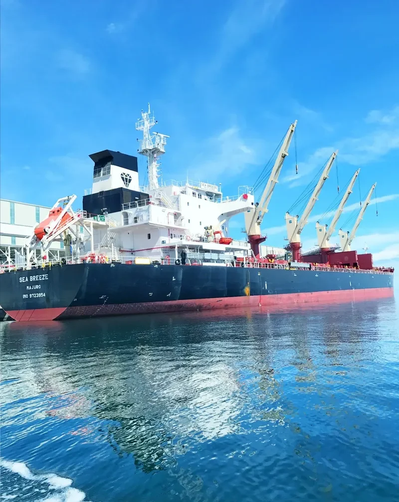 SEA BREEZE Bulk Carrier IMO 9723954 photo 7