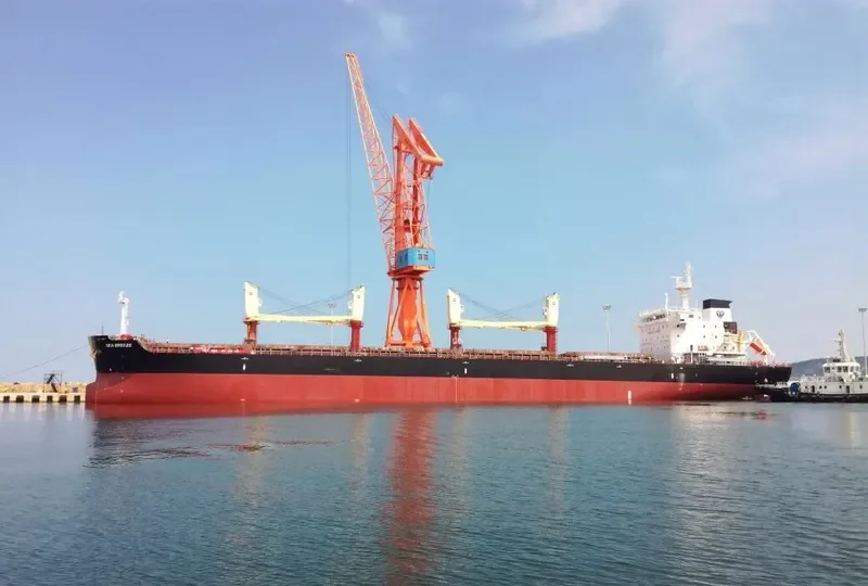SEA BREEZE Bulk Carrier IMO 9723954 photo 8