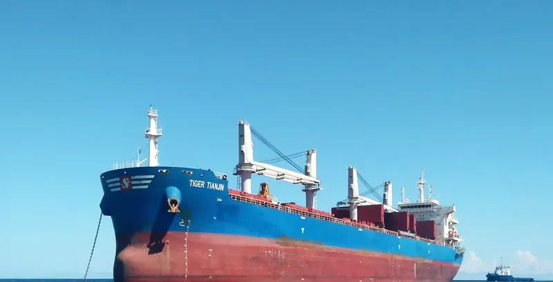 ML SWALLOW Bulk Carrier IMO 9723992