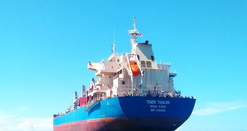 ML SWALLOW Bulk Carrier IMO 9723992 photo 2