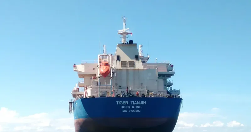 ML SWALLOW Bulk Carrier IMO 9723992 photo 4