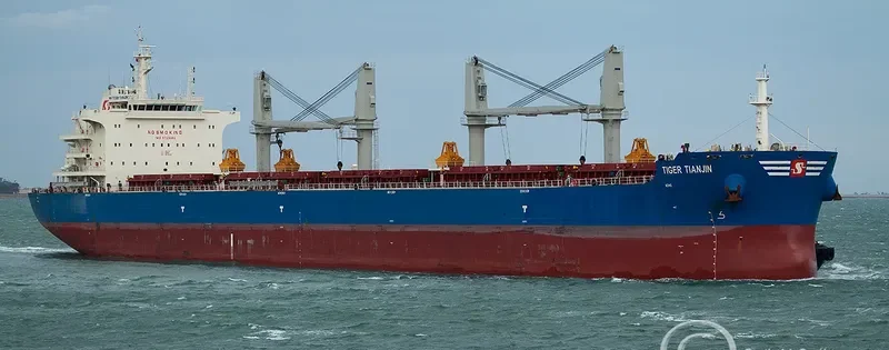 ML SWALLOW Bulk Carrier IMO 9723992 photo 5