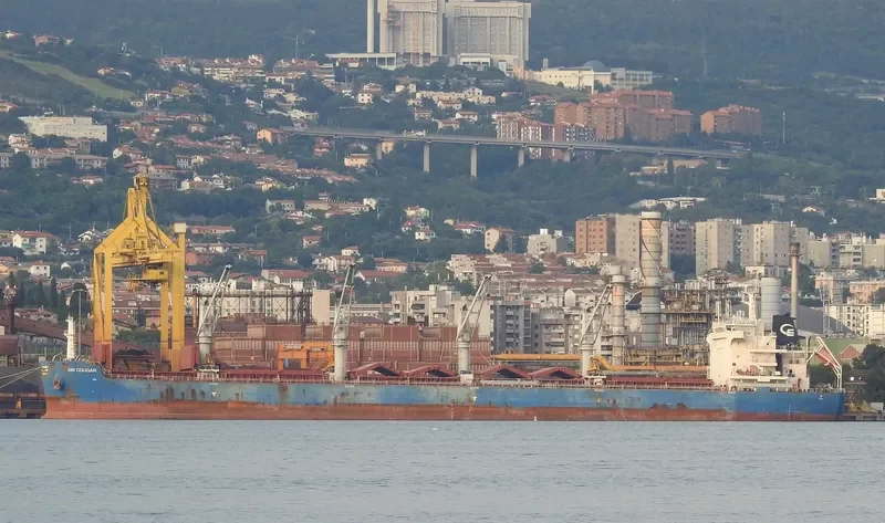 ML SWALLOW Bulk Carrier IMO 9723992 photo 6