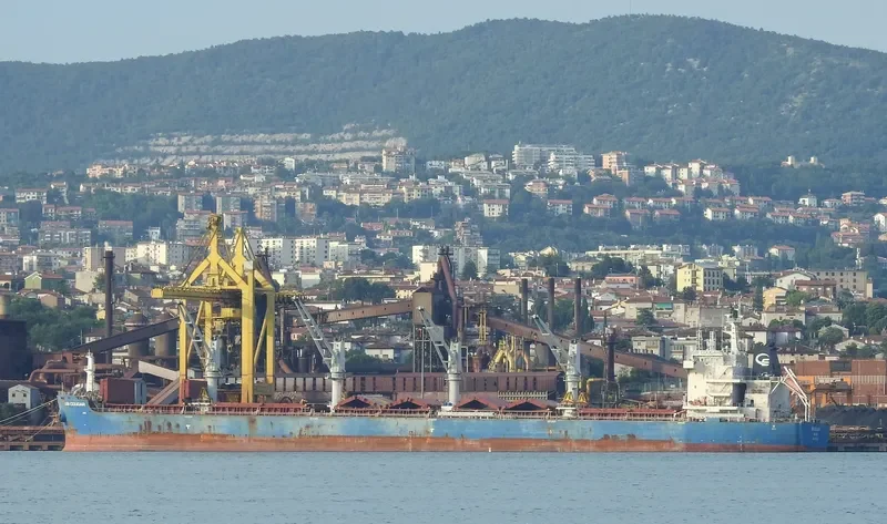 ML SWALLOW Bulk Carrier IMO 9723992 photo 7