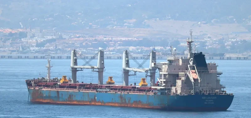 ML SWALLOW Bulk Carrier IMO 9723992 photo 10