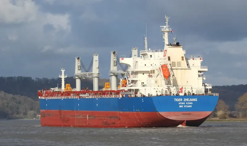 DROGBA Bulk Carrier IMO 9724001 photo 2