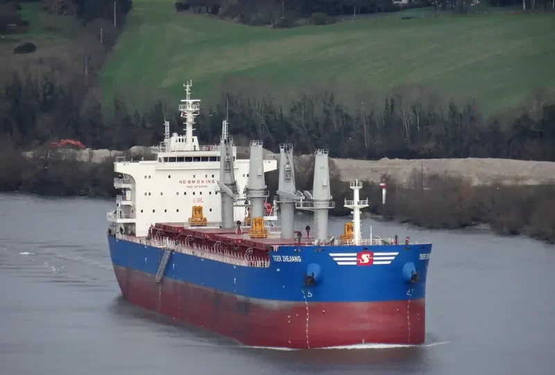 DROGBA Bulk Carrier IMO 9724001 photo 4