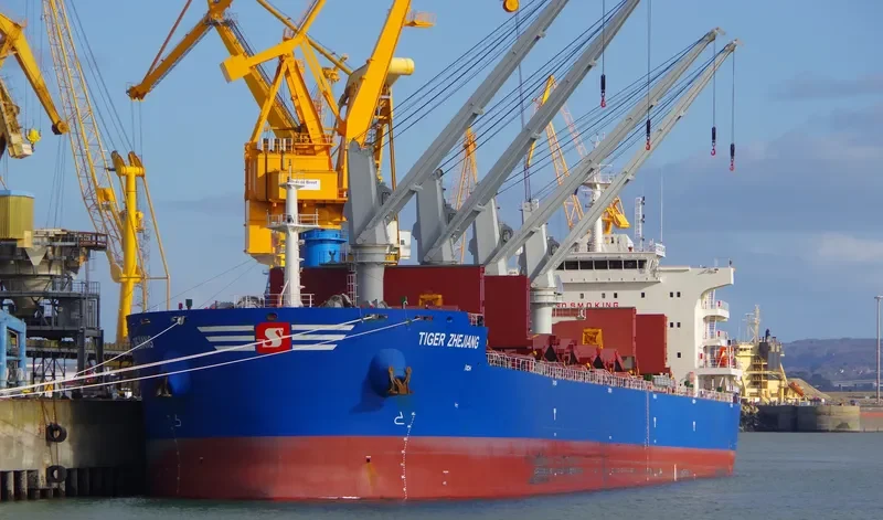 DROGBA Bulk Carrier IMO 9724001 photo 6