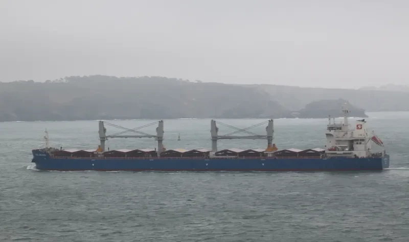 DROGBA Bulk Carrier IMO 9724001 photo 7