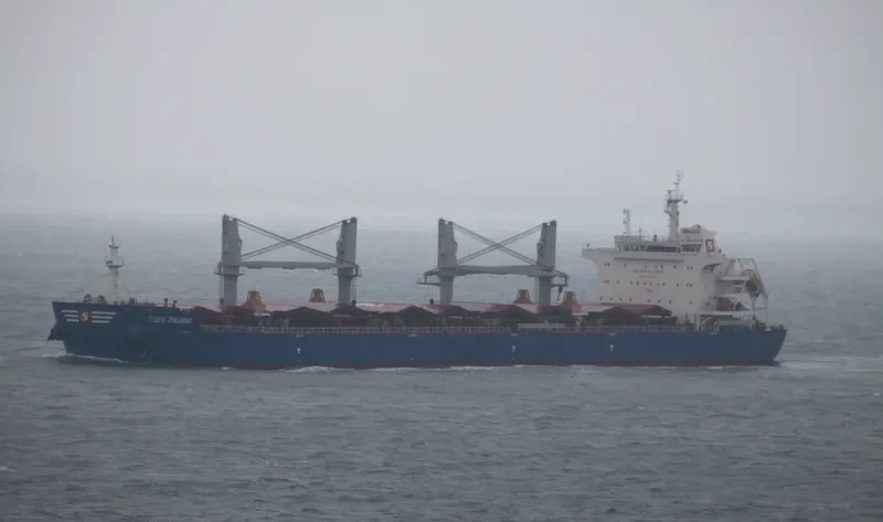 DROGBA Bulk Carrier IMO 9724001 photo 8