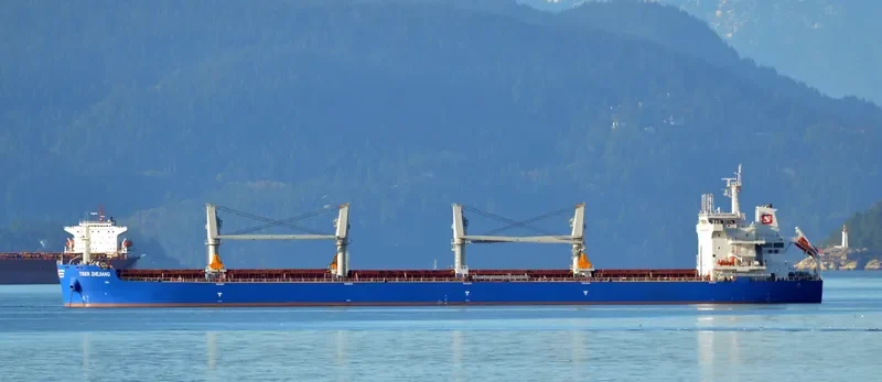DROGBA Bulk Carrier IMO 9724001 photo 9