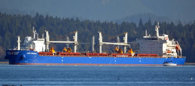 DROGBA Bulk Carrier IMO 9724001 photo 10