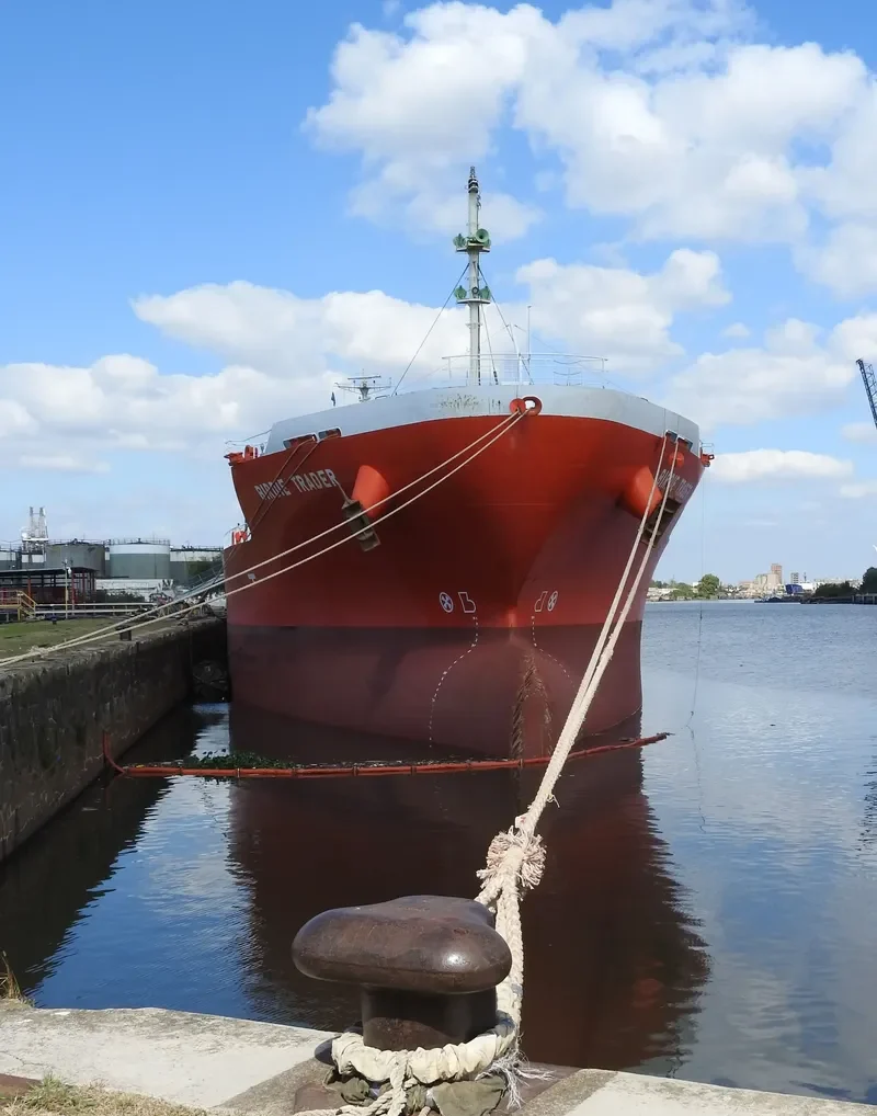BIRDIE TRADER Tanker IMO 9724099 photo 6