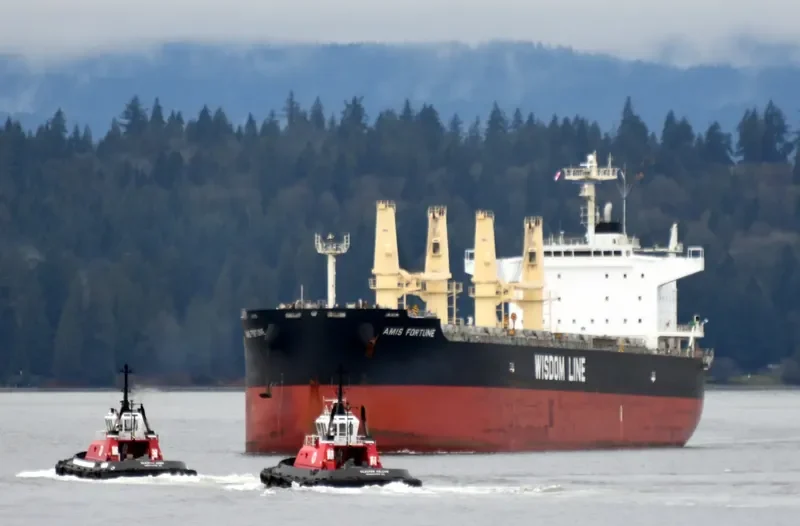 AMIS FORTUNE Bulk Carrier IMO 9724178