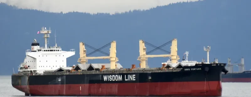 AMIS FORTUNE Bulk Carrier IMO 9724178 photo 2