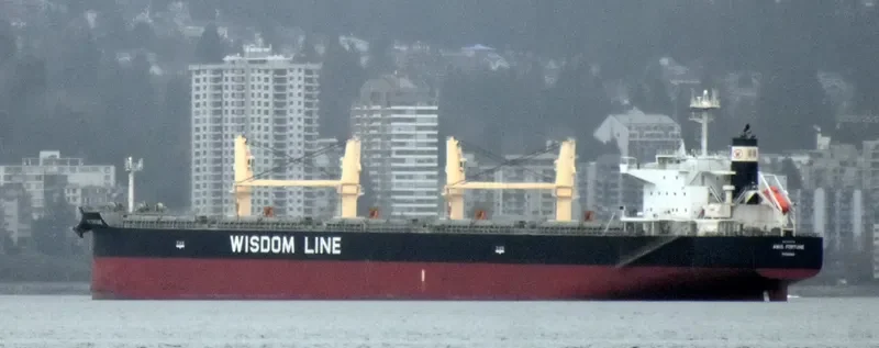 AMIS FORTUNE Bulk Carrier IMO 9724178 photo 3