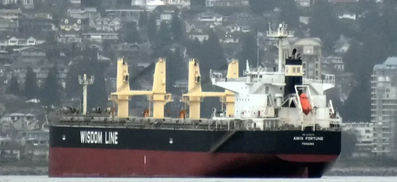 AMIS FORTUNE Bulk Carrier IMO 9724178 photo 4