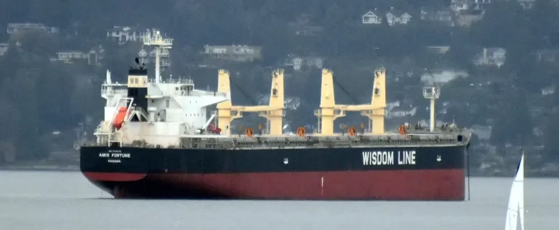 AMIS FORTUNE Bulk Carrier IMO 9724178 photo 5