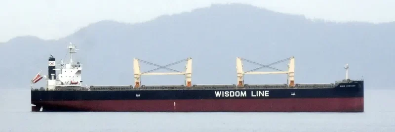 AMIS FORTUNE Bulk Carrier IMO 9724178 photo 6
