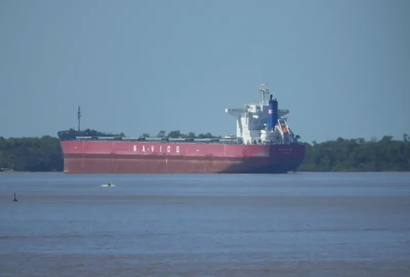 NAVIOS SKY Bulk Carrier IMO 9724180 photo 3