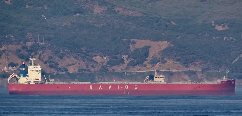 NAVIOS SKY Bulk Carrier IMO 9724180 photo 5