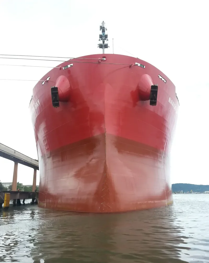 NAVIOS SKY Bulk Carrier IMO 9724180 photo 8