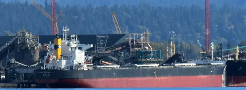 LOWLANDS NELLO Bulk Carrier IMO 9724192