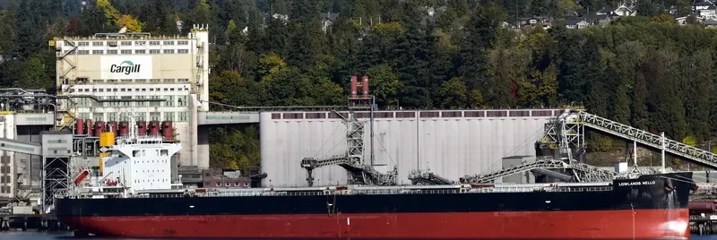 LOWLANDS NELLO Bulk Carrier IMO 9724192 photo 2