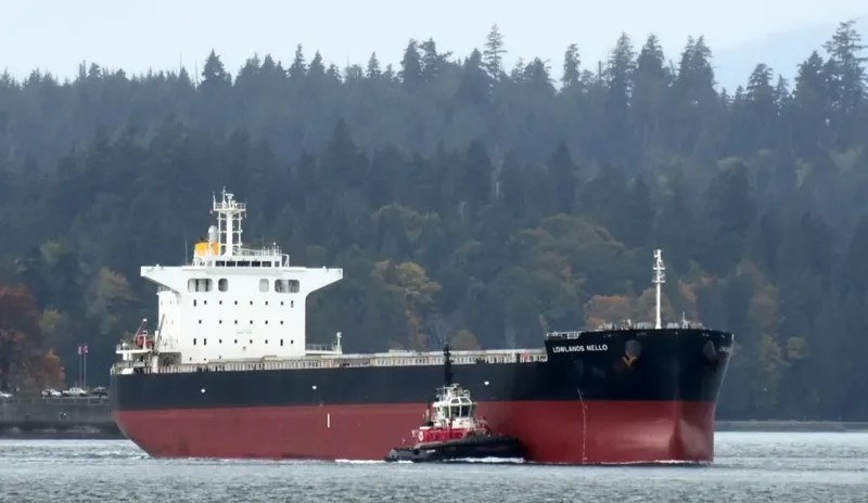 LOWLANDS NELLO Bulk Carrier IMO 9724192 photo 3