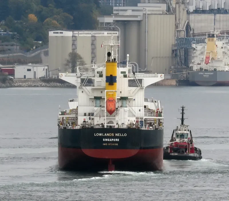 LOWLANDS NELLO Bulk Carrier IMO 9724192 photo 4